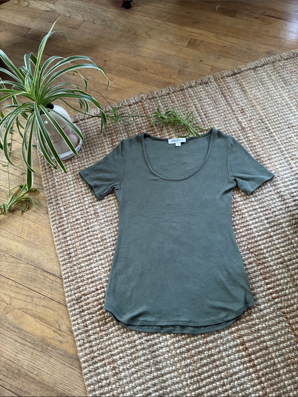 Amour Vert Short Sleeve Scoop Neck Tee in Olive